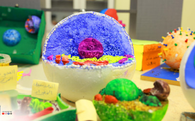 From Palestine to the Space: A Journey of Student Creativity  Latin Patriarchate School – Birzeit