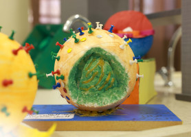 From Palestine to the Space: A Journey of Student Creativity  Latin Patriarchate School &ndash; Birzeit