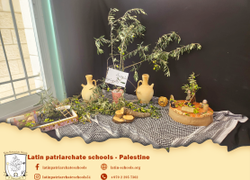 Olive pickles Activity at Al-Hayat Kindergarten