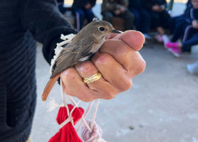 Discovering Nature and Adventure: An Engaging Educational Trip for Fifth Graders