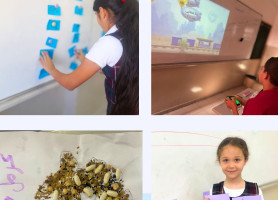 Latin &ndash; Zababdeh | Outstanding Activities and Initiatives